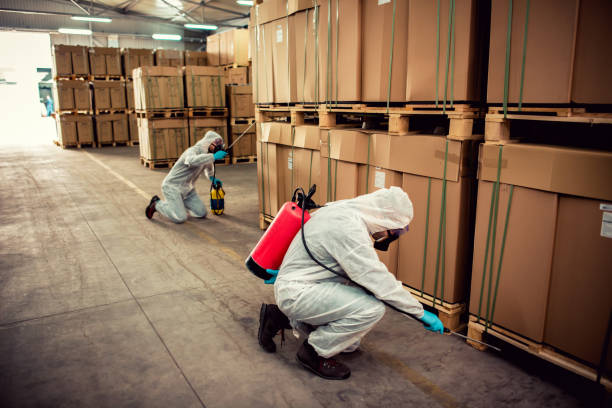 Best Residential Pest Control  in Atlantic Beach, NY