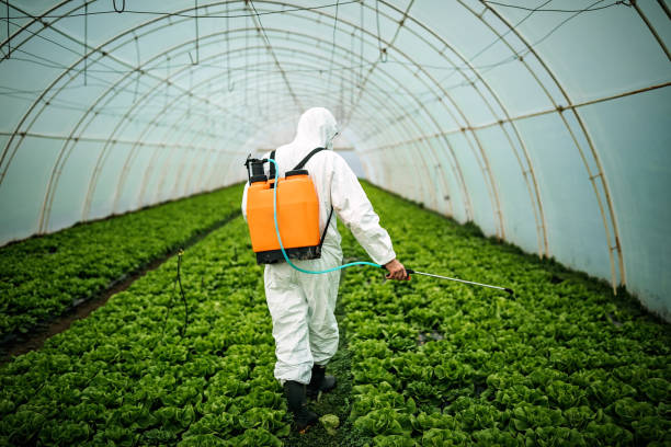 Best Pest Prevention Services  in Atlantic Beach, NY