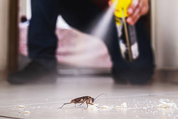 Best Residential Pest Control  in Atlantic Beach, NY